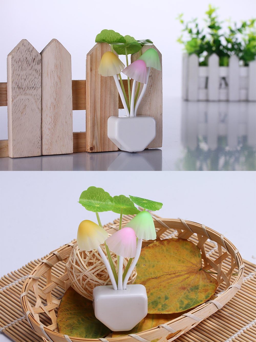 Mushroom Light